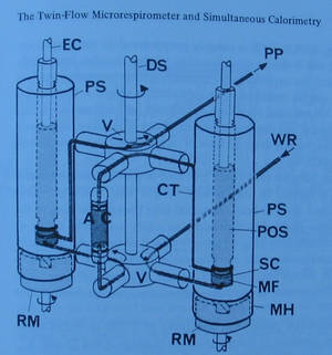 1983: The development of the Twin-Flow Microrespirometer