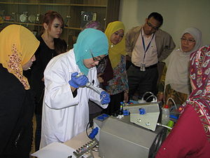 Preparations for the experiment