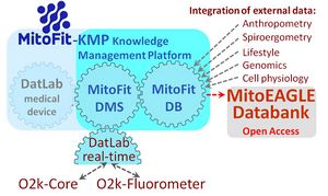 MitoFit-Knowledge Management Platform.jpg