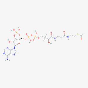 Acetyl coenzyme A 700.png