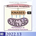 Kinase inhibition and mt-function